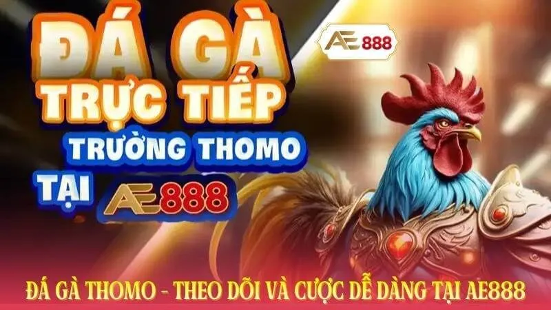 Đá Gà Thomo - Theo Dõi Và Cược Dễ Dàng Tại AE888